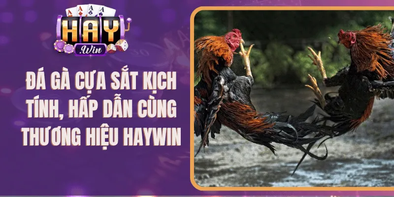Đá Gà Cựa Sắt Kịch Tính, Hấp Dẫn Cùng Thương Hiệu 789Club
